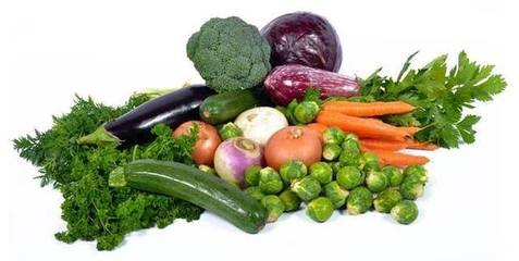 反季節(jié)蔬菜這類產(chǎn)品對人身體有害無益,學(xué)習(xí)蔬菜的季節(jié)分類屬性