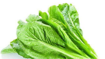 廣州大型蔬菜配送公司 專業(yè)批發(fā)水果農(nóng)副產(chǎn)品與食堂承包服務